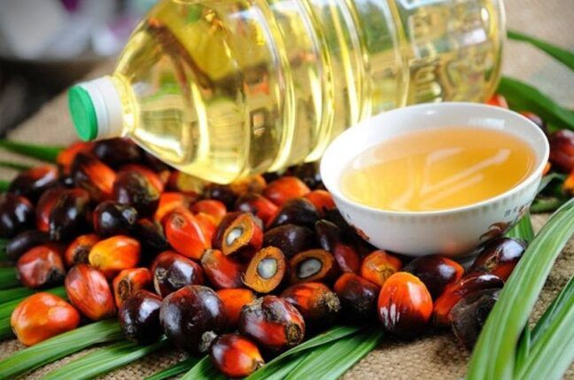aceite de palma en leches infantiles