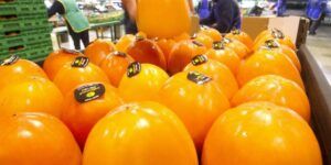 beneficios de consumir caqui por la noche