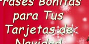 breves frases navidenas para tus tarjetas