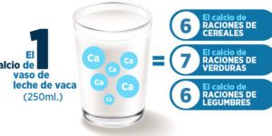 calcio presente en la leche sin lactosa