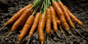 descubre los 10 beneficios de comer zanahoria cruda