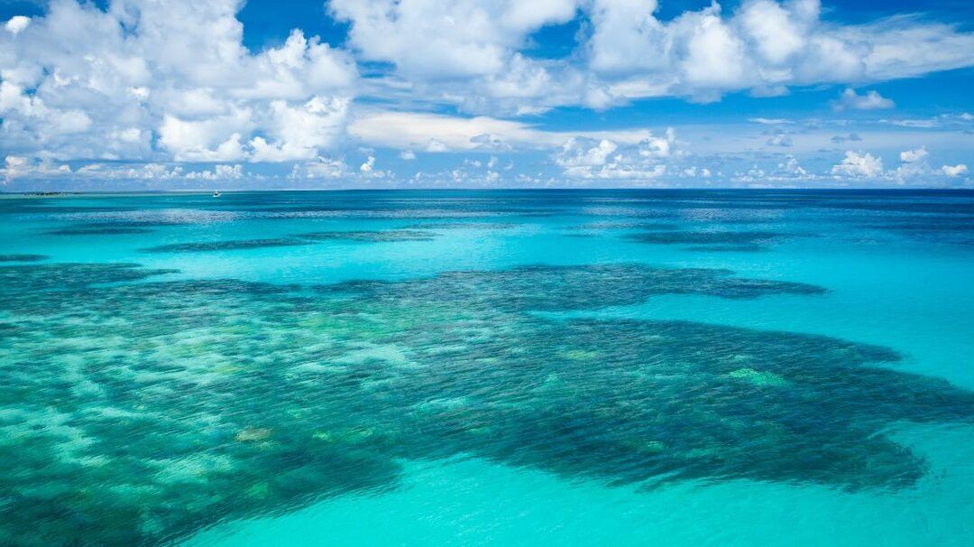 dureza o blandura de la barriga de embarazo que indica