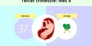 el flujo vaginal durante el segundo trimestre del embarazo