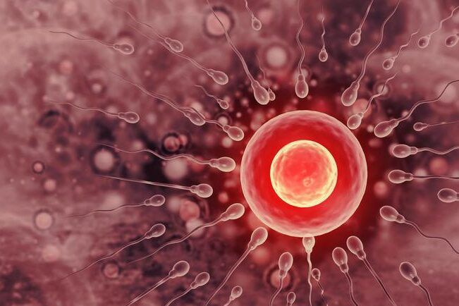 el momento de la implantacion del ovulo fecundado en el utero