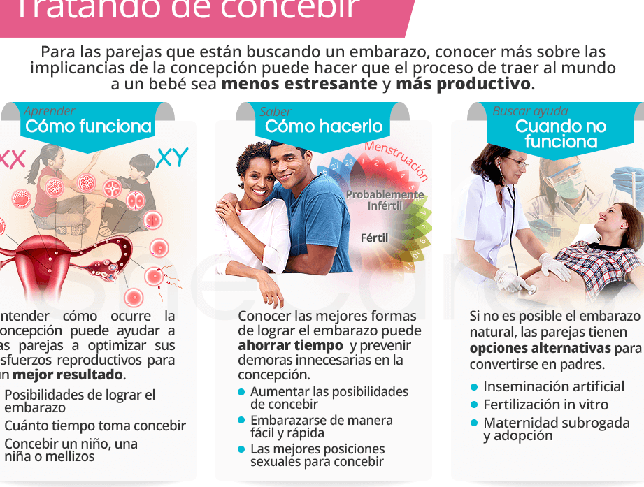 el ovario derecho afecta el genero del bebe durante el embarazo