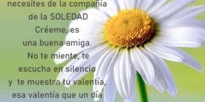 frases para celebrar el dia de la paz