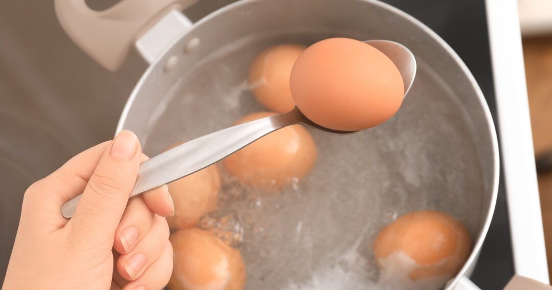 la flotabilidad de un huevo en el agua