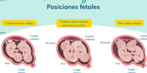 niveles de glucosa segun la edad una tabla de referencia