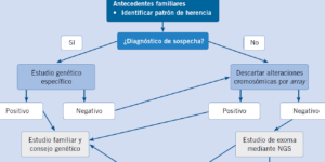 prueba prenatal no invasiva cubierta por la seguridad social
