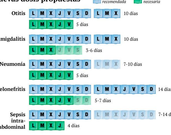 tiempo de accion de la amoxicilina cuando hace efecto