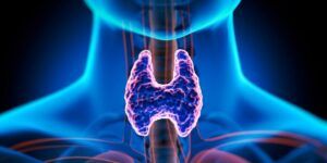 tiempo de recuperacion del esperma en hombres