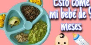 alimentos para bebe de 9 meses