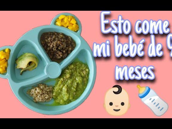 alimentos para bebe de 9 meses