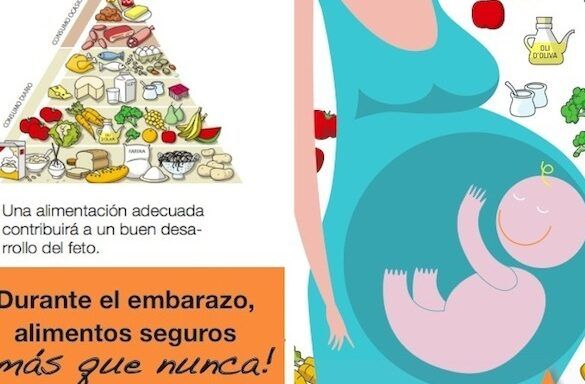 alimentos seguros para embarazadas
