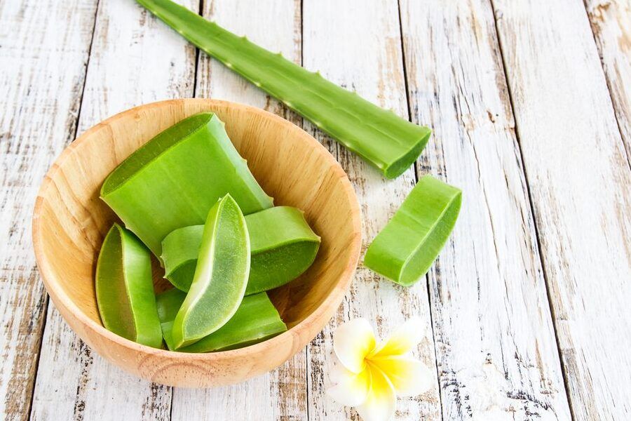 aloe vera y mosquito