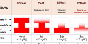 anemia por deficiencia de hierro