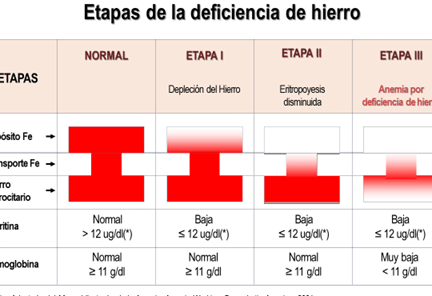 anemia por deficiencia de hierro
