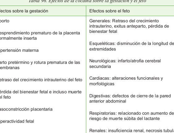 desarrollo fetal factores y consejos
