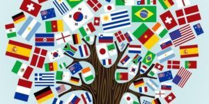 diversidad linguistica y cultural
