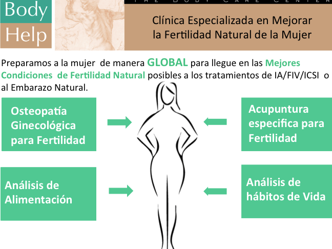 embarazo y fertilidad