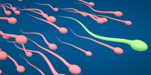 fertilidad masculina