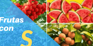 fruta con la letra s