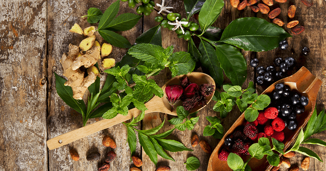 hierbas medicinales y frutas