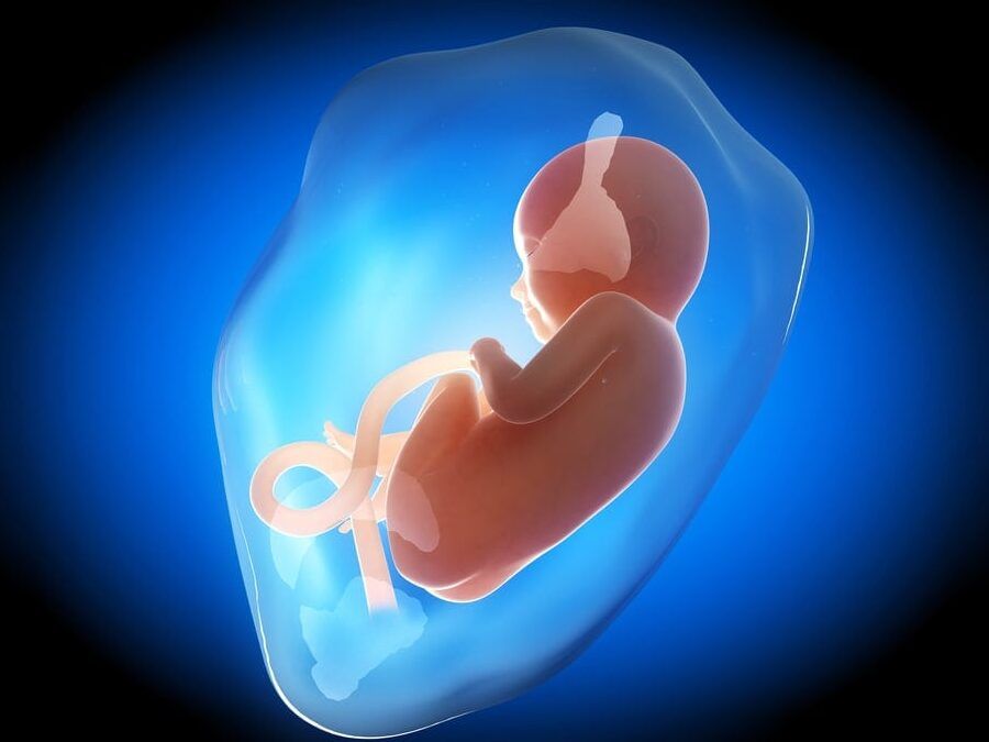 liquido amniotico embarazo