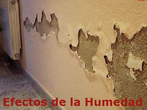 los efectos de la humedad