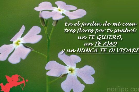 poemas cortos y emotivos