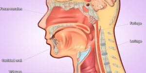 respiracion nasal correcta