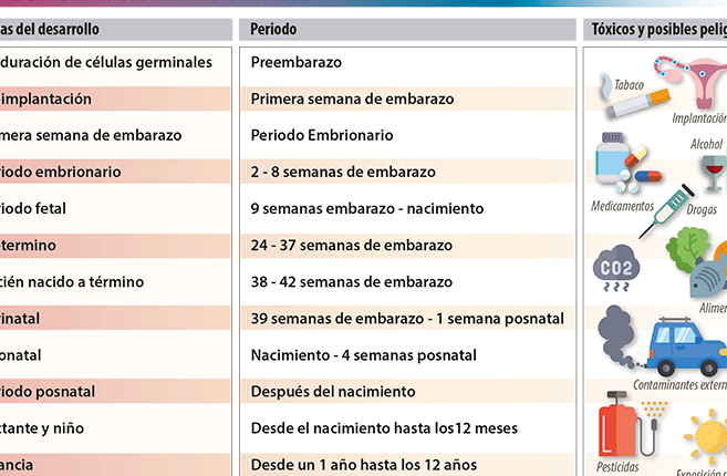 riesgos del consumo durante el embarazo