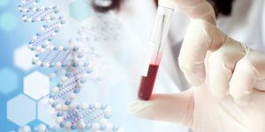 test prenatal no invasivo