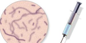 vacuna haemophilus influenzae tipo b