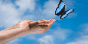 viaje de transformacion con mariposas