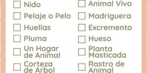 busqueda del tesoro para ninos