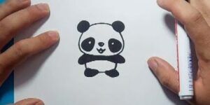 dibujo paso a paso de panda