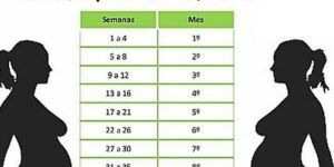 ecografia para calcular fecha parto