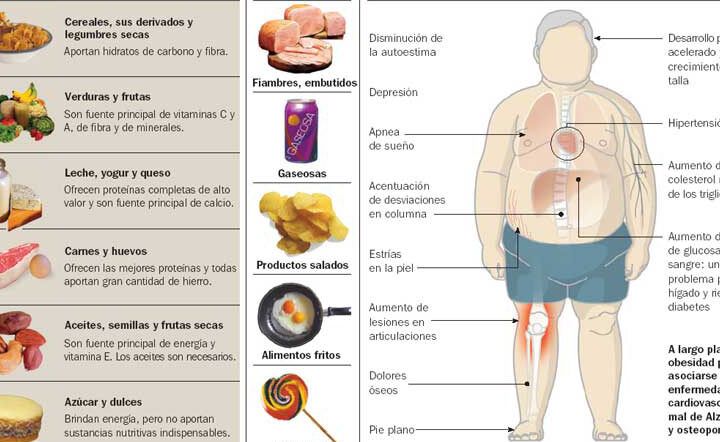 energia y vitaminas sin sobrepeso