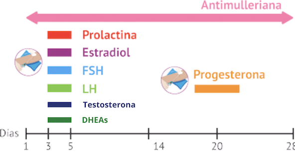 fertilidad sintomas tiempo accion