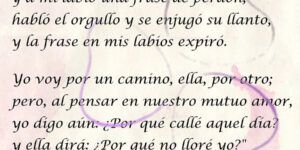 frases de orgullo y especialidad