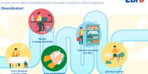 habitos saludables para mejorar digestion
