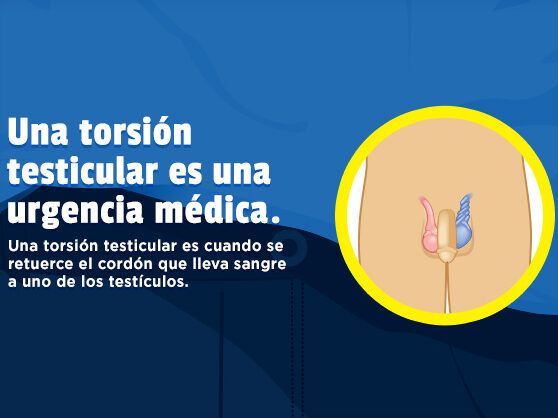 prevencion de enfermedades testiculares infantiles