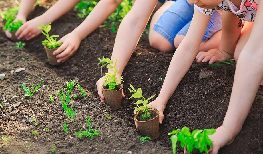 actividades divertidas para el medio ambiente