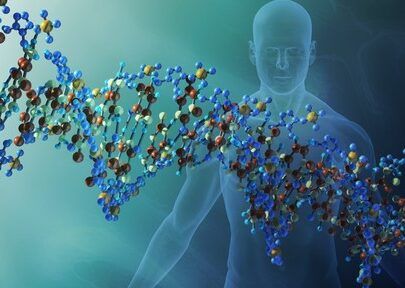 adn en el cuerpo humano