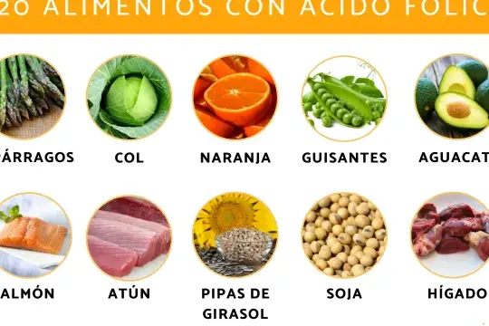 alimentos con acido folico saludables