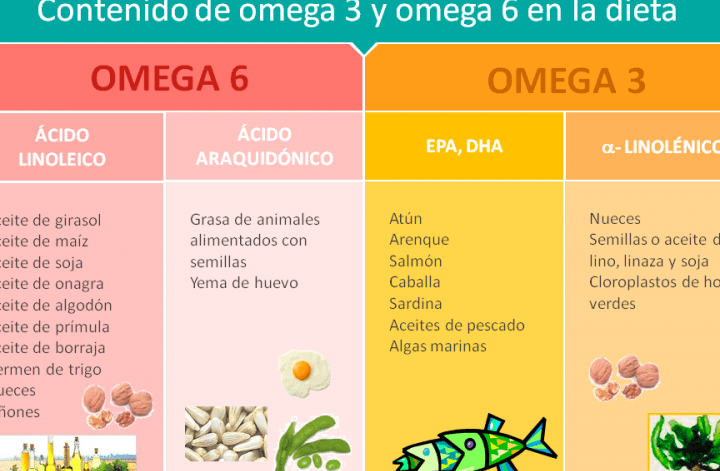 alimentos omega 3 y 6