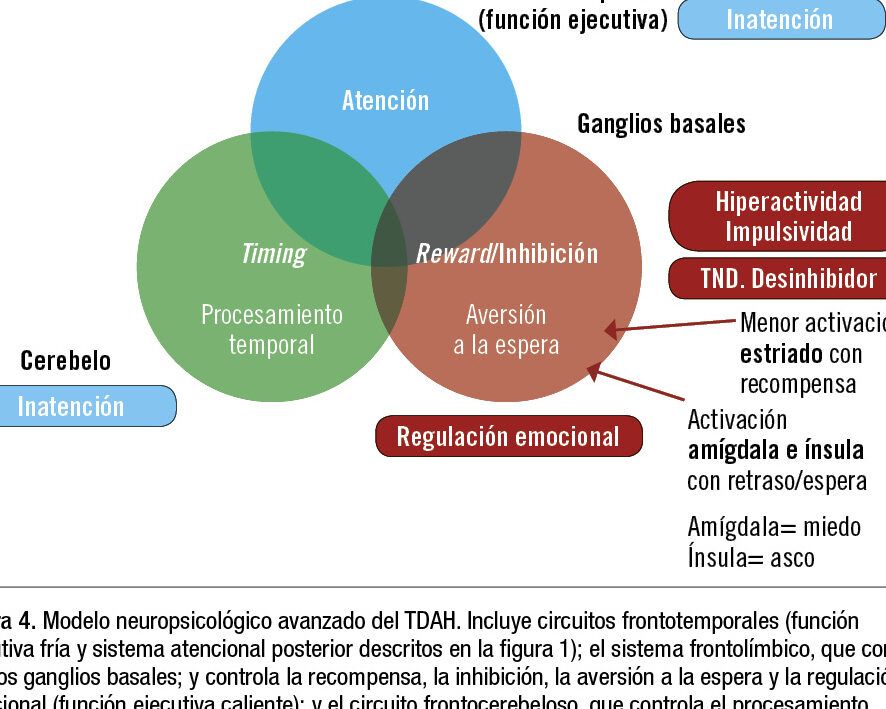 comparando deficit de atencion y tdah