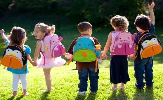 excursion escolar exitosa