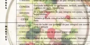menu para salud gastrointestinal